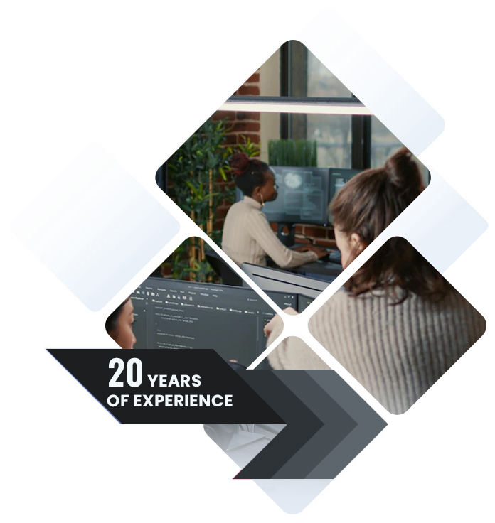 Newtech Information Technology team with over 20 years of IT experience