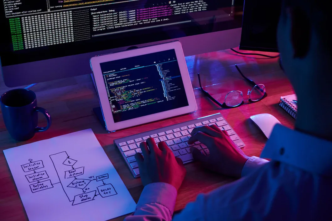 Custom web application development